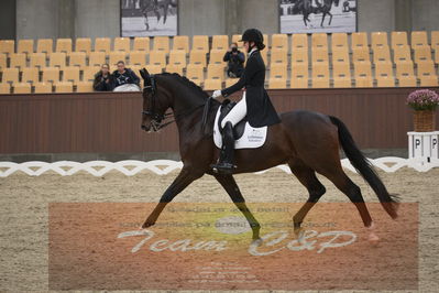 Ecco Cup finaler 2019
youngrider, u18
Nøgleord: sophia ludvigsen;safari klintgaard