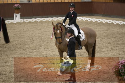 Ecco Cup finaler 2019
youngrider, u18
Nøgleord: sophia ludvigsen;safari klintgaard;lap of honour