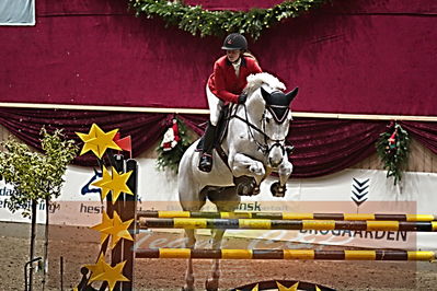 B springstævne
basisbank broncetur
Nøgleord: jessica toelstang;bjerglunds campari