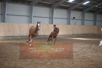 hoppekåring 2019
Nøgleord: red duchess gb