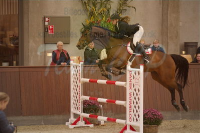 Dansk Rideforbunds Championats finaler 2018 spring
Dansk Rideforbunds Championats finaler 2018
spring 6års
Nøgleord: bøgegårdens christiano;frederikke svendgaard