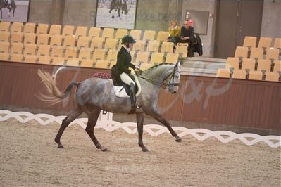 Dansk Rideforbunds Championats finaler 2018 spring
Dansk Rideforbunds Championats finaler 2018
dressur 7års
Nøgleord: roar d;michala damm-frydenberg