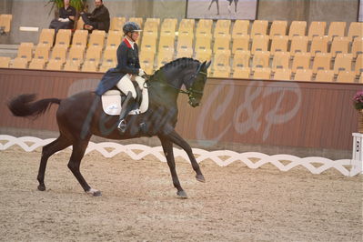 Dansk Rideforbunds Championats finaler 2018 spring
Dansk Rideforbunds Championats finaler 2018
dressur 7års
Nøgleord: icing for you;meike lang