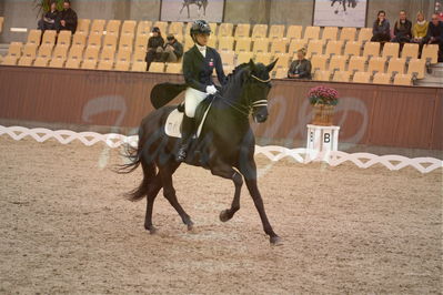 Dansk Rideforbunds Championats finaler 2018 spring
Dansk Rideforbunds Championats finaler 2018
dressur 7års
Nøgleord: uno don olympic;anna zibrandtsen