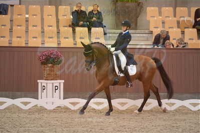 Dansk Rideforbunds Championats finaler 2018 spring
Dansk Rideforbunds Championats finaler 2018
dressur 7års
Nøgleord: blue hors zalabastar;nanna skodborg merrald