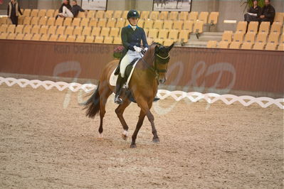 Dansk Rideforbunds Championats finaler 2018 spring
Dansk Rideforbunds Championats finaler 2018
dressur 7års
Nøgleord: blue hors zalabastar;nanna skodborg merrald