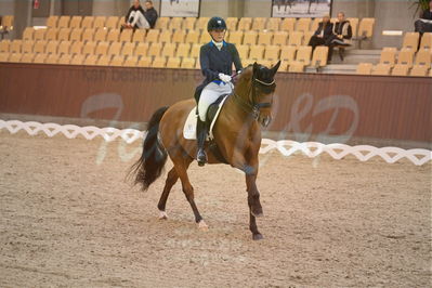 Dansk Rideforbunds Championats finaler 2018 spring
Dansk Rideforbunds Championats finaler 2018
dressur 7års
Nøgleord: blue hors zalabastar;nanna skodborg merrald