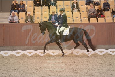 Dansk Rideforbunds Championats finaler 2019 dressur
Dansk Rideforbunds Championats finaler 2018
4års
Nøgleord: møllegårdens dancer dwb;jan møller christensen