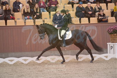 Dansk Rideforbunds Championats finaler 2019 dressur
Dansk Rideforbunds Championats finaler 2018
4års
Nøgleord: møllegårdens dancer dwb;jan møller christensen