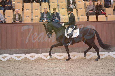 Dansk Rideforbunds Championats finaler 2019 dressur
Dansk Rideforbunds Championats finaler 2018
4års
Nøgleord: møllegårdens dancer dwb;jan møller christensen