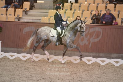 Dansk Rideforbunds Championats finaler 2019 dressur
Dansk Rideforbunds Championats finaler 2018
4års
Nøgleord: highfive fuglsang;anders uve sjøbeck hoeck