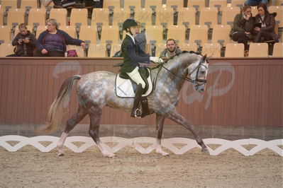 Dansk Rideforbunds Championats finaler 2019 dressur
Dansk Rideforbunds Championats finaler 2018
4års
Nøgleord: highfive fuglsang;anders uve sjøbeck hoeck