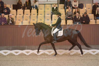 Dansk Rideforbunds Championats finaler 2019 dressur
Dansk Rideforbunds Championats finaler 2018
4års
Nøgleord: sweetness;silje bakken