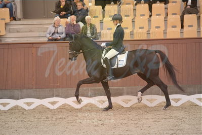 Dansk Rideforbunds Championats finaler 2019 dressur
Dansk Rideforbunds Championats finaler 2018
4års
Nøgleord: logo's gaya;emma ahlberg