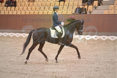 Dansk Rideforbunds Championats finaler 2019 dressur
Dansk Rideforbunds Championats finaler 2018
4års
Nøgleord: logo's gaya;emma ahlberg