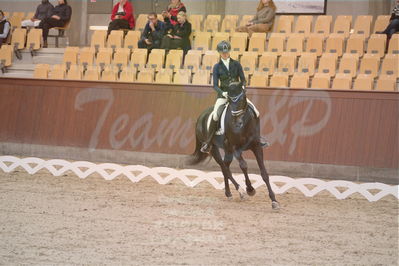 Dansk Rideforbunds Championats finaler 2019 dressur
Dansk Rideforbunds Championats finaler 2018
4års
Nøgleord: logo's gaya;emma ahlberg