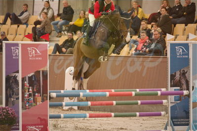 Dansk Rideforbunds Championats finaler 2018 spring
Dansk Rideforbunds Championats finaler 2018
4 års kvl
Nøgleord: hilly van der horst z;mathilde lind skjøtt