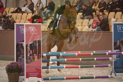 Dansk Rideforbunds Championats finaler 2018 spring
Dansk Rideforbunds Championats finaler 2018
4 års kvl
Nøgleord: tadea;laila pdersen