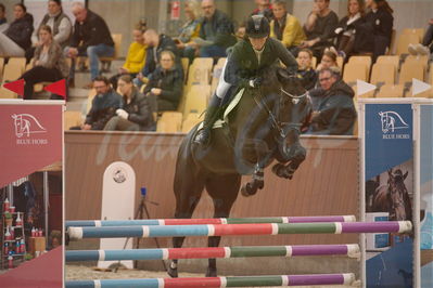 Dansk Rideforbunds Championats finaler 2018 spring
Dansk Rideforbunds Championats finaler 2018
4 års kvl
Nøgleord: holly ask;maria bjørnkjær bennedsgaard