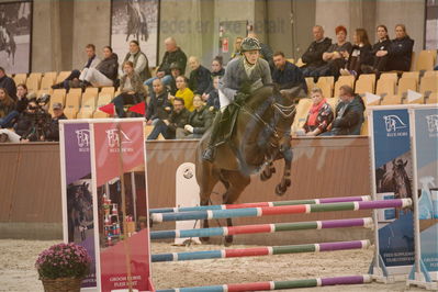 Dansk Rideforbunds Championats finaler 2018 spring
Dansk Rideforbunds Championats finaler 2018
4 års kvl
Nøgleord: carma;martin mose knudsen