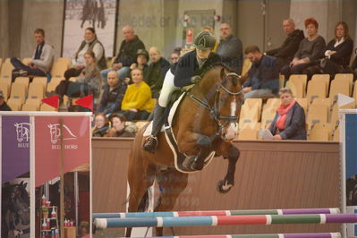 Dansk Rideforbunds Championats finaler 2018 spring
Dansk Rideforbunds Championats finaler 2018
4 års kvl
Nøgleord: vong's brunello dwb tf;mia oudal