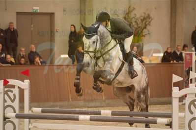 Dansk Rideforbunds Championats finaler 2018 spring
Dansk Rideforbunds Championats finaler 2018
5 års kval
Nøgleord: fidelio ask;søren møller rohde