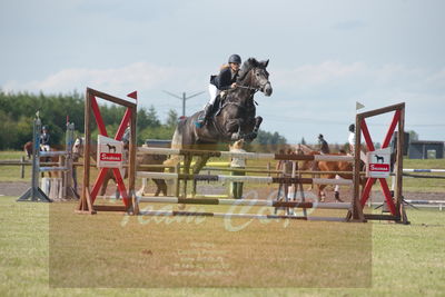 Drf championat spring kvl. 5års
Nøgleord: pt;melissa  bundgaard;hb's gucci