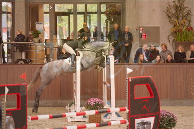 Dansk Rideforbunds Championats finaler 2019 spring
Dansk Rideforbunds Championats finaler 2018
4års
Nøgleord: tekanava ask;maria bjørnkjær bennedsgaard