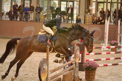 Dansk Rideforbunds Championats finaler 2019 spring
Dansk Rideforbunds Championats finaler 2018
4års
Nøgleord: p diddy;pernille tribler