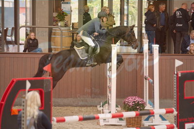 Dansk Rideforbunds Championats finaler 2019 spring
Dansk Rideforbunds Championats finaler 2018
4års
Nøgleord: niarado lille lunden;allan blomgreen