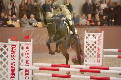 Dansk Rideforbunds Championats finaler 2019 spring
Dansk Rideforbunds Championats finaler 2018
4års
Nøgleord: feliciano ask;jasmin skyggebjerg