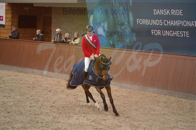 Dansk Rideforbunds Championats finaler 2019
Dansk Rideforbunds Championats finaler 2018
5 års
Nøgleord: katrinelund satisfaction;kasper h hansen;lap of honour