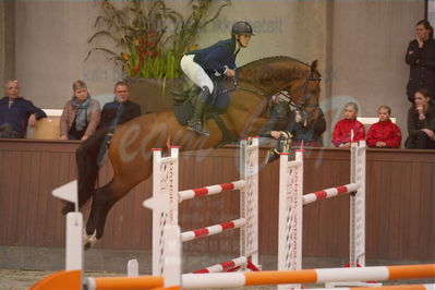 Dansk Rideforbunds Championats finaler 2019
Dansk Rideforbunds Championats finaler 2019
Nøgleord: mundbjergs sandrino boy;ida mundbjerg hansen