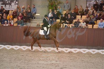 Dansk Rideforbunds Championats finaler 2019 dressur
Dansk Rideforbunds Championats finaler 2019
5 års
Nøgleord: severo jurado lopez;springbank II vh