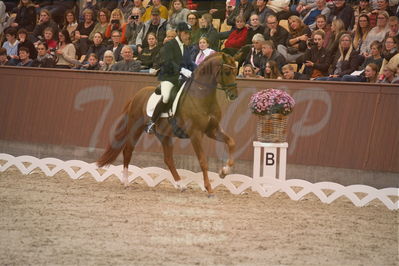 Dansk Rideforbunds Championats finaler 2019 dressur
Dansk Rideforbunds Championats finaler 2019
5 års
Nøgleord: severo jurado lopez;springbank II vh