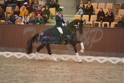 Dansk Rideforbunds Championats finaler 2019 dressur
Dansk Rideforbunds Championats finaler 2019
5 års
Nøgleord: andreas helgstrand;queenparks wendy;lap of honour