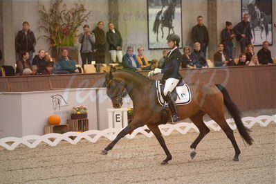 Dansk Rideforbunds Championats finaler 2019 dressur
Dansk Rideforbunds Championats finaler 2018
6 års
Nøgleord: susanne barnow;srienna