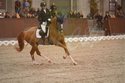 Dansk Rideforbunds Championats finaler 2019 dressur
Dansk Rideforbunds Championats finaler 2018
6 års
Nøgleord: møgelvangs ferrari;pernille elten sigsgaard