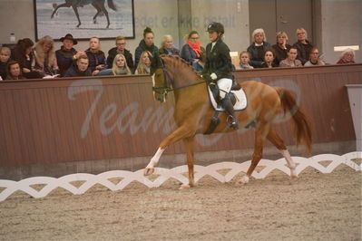 Dansk Rideforbunds Championats finaler 2019 dressur
Dansk Rideforbunds Championats finaler 2018
6 års
Nøgleord: møgelvangs ferrari;pernille elten sigsgaard