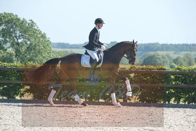 Blue Hors Dressurchampionat 2019 3års
Billeder fra stævnet
Nøgleord: zilli al;steen steensen blicher