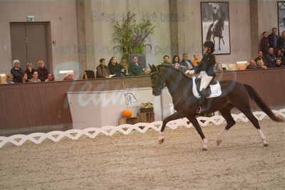 Dansk Rideforbunds Championats finaler 2019 dressur
Dansk Rideforbunds Championats finaler 2018
6 års
Nøgleord: favour gersdorf;nadja aaboe sloth