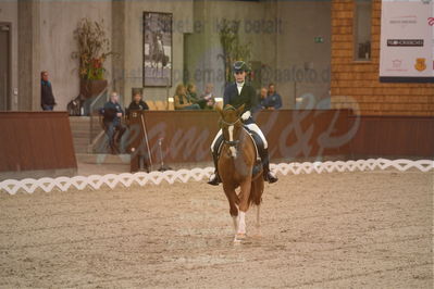 Dansk Rideforbunds Championats finaler 2019 dressur
Dansk Rideforbunds Championats finaler 2018
6 års
Nøgleord: rhett butler;amalie greve christensen