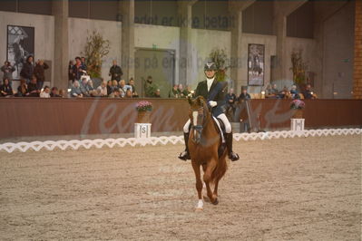 Dansk Rideforbunds Championats finaler 2019 dressur
Dansk Rideforbunds Championats finaler 2018
6 års
Nøgleord: midt-west zalando;lise ladefoged jensen