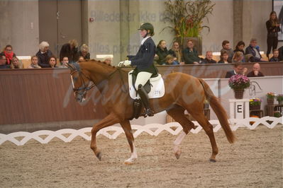 Dansk Rideforbunds Championats finaler 2019 dressur
Dansk Rideforbunds Championats finaler 2018
6 års
Nøgleord: midt-west zalando;lise ladefoged jensen