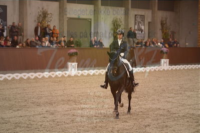 Dansk Rideforbunds Championats finaler 2019 dressur
Dansk Rideforbunds Championats finaler 2018
6 års
Nøgleord: atterupgaard delorean;selina solberg vittinghus