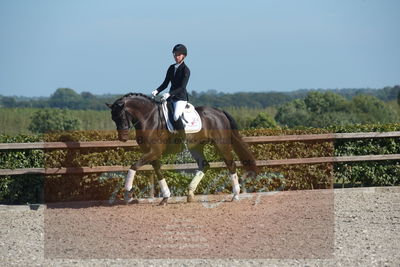 Blue Hors Dressuchampionat 2019 4års
Billeder fra stævnet
Nøgleord: springborgs achiva;kathrine springborg