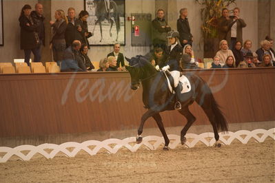 Dansk Rideforbunds Championats finaler 2019 dressur
Dansk Rideforbunds Championats finaler 2018
6 års
Nøgleord: bournonville;lotte wiuff straarip