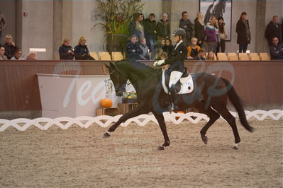 Dansk Rideforbunds Championats finaler 2019 dressur
Dansk Rideforbunds Championats finaler 2018
6 års
Nøgleord: bournonville;lotte wiuff straarip