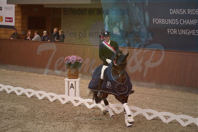 Dansk Rideforbunds Championats finaler 2019 dressur
Dansk Rideforbunds Championats finaler 2018
6 års
Nøgleord: andreas helgstrand;revolution;lap of honour