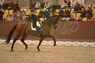 Dansk Rideforbunds Championats finaler 2019 dressur
Dansk Rideforbunds Championats finaler 2018
7 års
Nøgleord: hugh hefner;frederico mexia de almeida